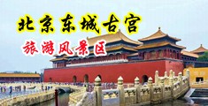 小淫娃的风骚史中国北京-东城古宫旅游风景区